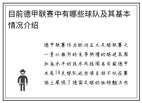 目前德甲联赛中有哪些球队及其基本情况介绍