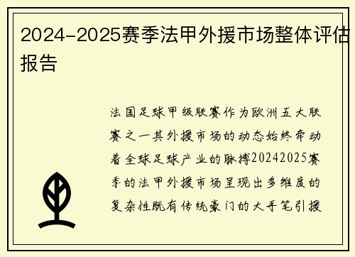 2024-2025赛季法甲外援市场整体评估报告